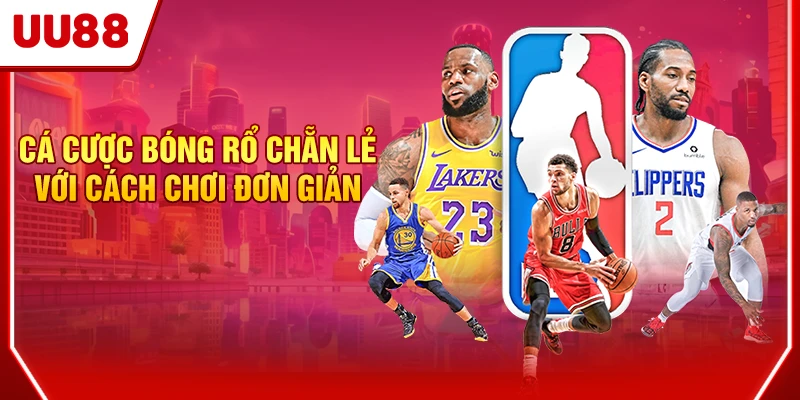 Cá Cược Bóng Rổ - Giải Trí Đỉnh Cao Với Tỷ Lệ Kèo Hấp Dẫn 3 Cá cược bóng rổ chẵn lẻ với cách chơi đơn giản