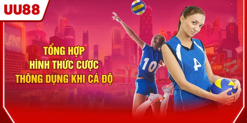 Hướng Dẫn Cá Cược Bóng Chuyền UU88 Chuẩn Như Chuyên Gia 3 Tổng hợp hình thức cược thông dụng khi cá độ